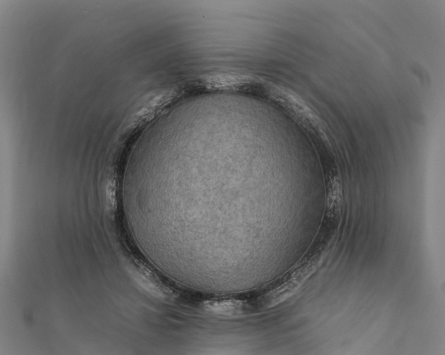 X0000112090452200908181307