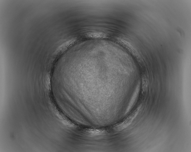 X0000112090453200908181307