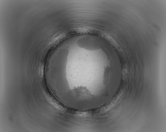 X0000112090454200908181307