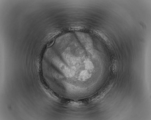 X0000112090455200908181307