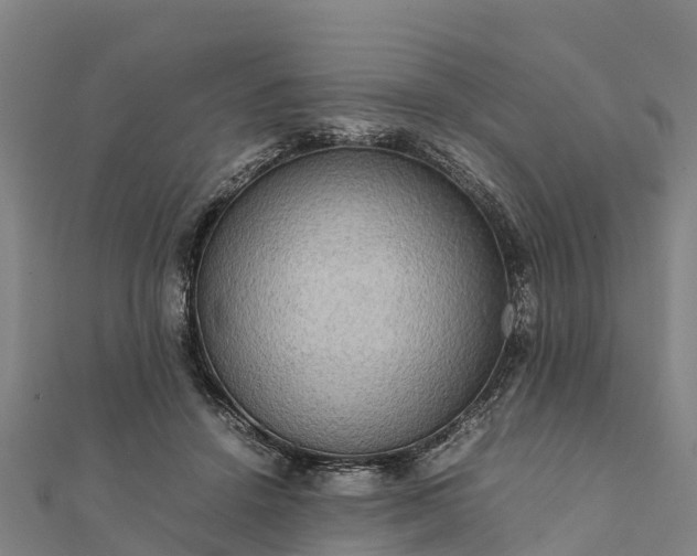 X0000112090456200908181307