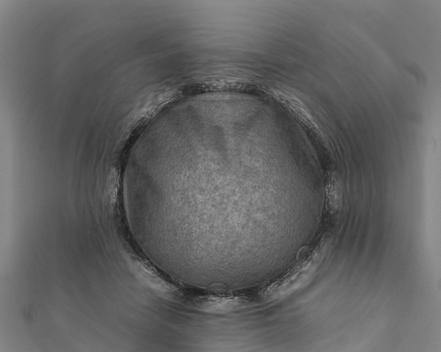 X0000112090458200908181307