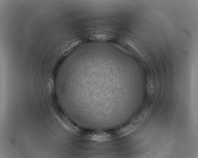 X0000112090459200908181307