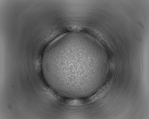 X0000112090460200908181307