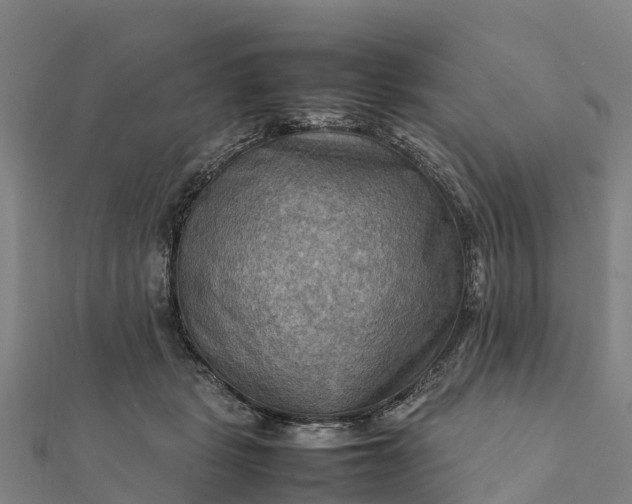 X0000112090461200908181307