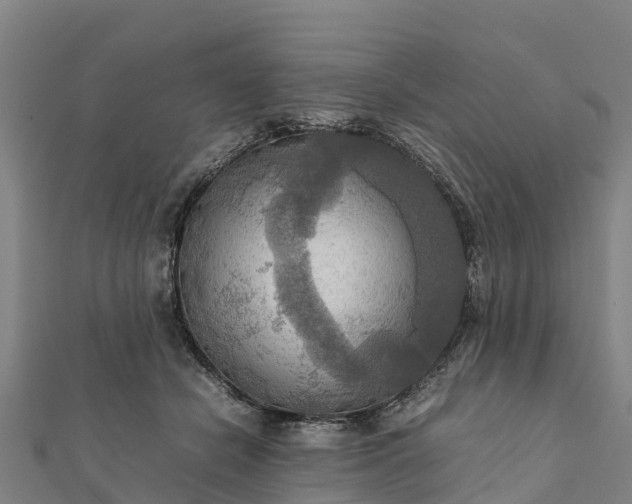 X0000112090462200908181307