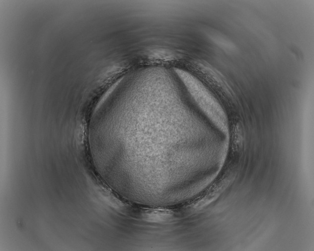 X0000112090463200908181307