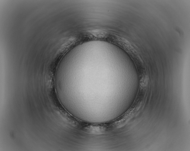 X0000112090464200908181307