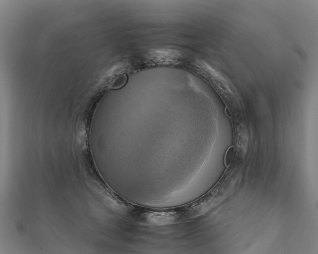 X0000112090465200908181307