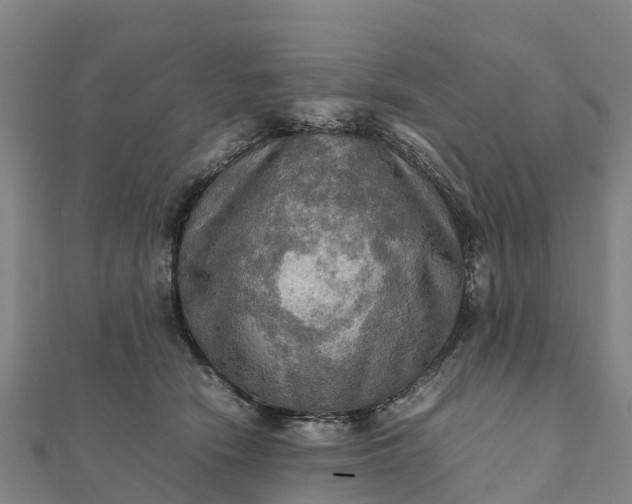 X0000112090466200908181307