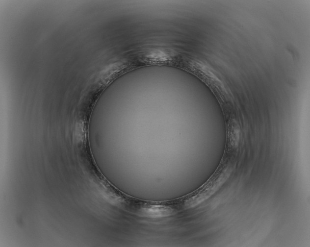 X0000112090467200908181307