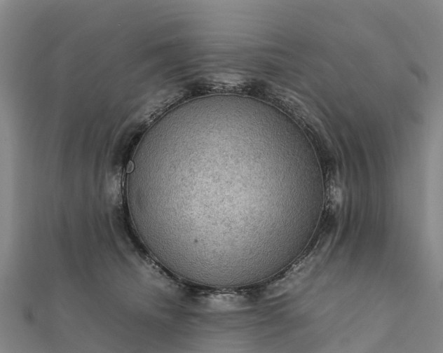 X0000112090468200908181307