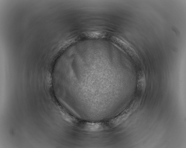 X0000112090469200908181307