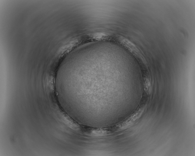 X0000112090470200908181307