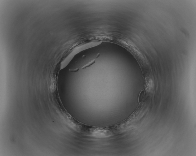 X0000112090471200908181307