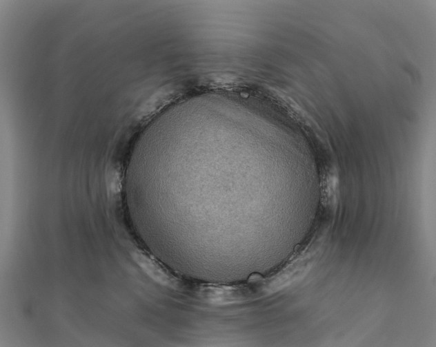 X0000112090472200908181307