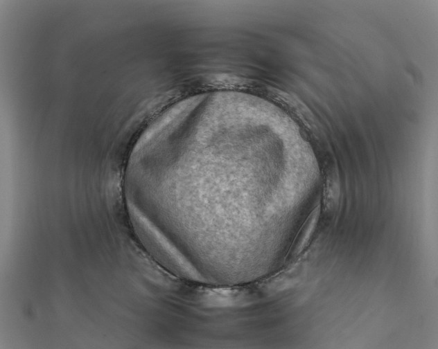 X0000112090473200908181307