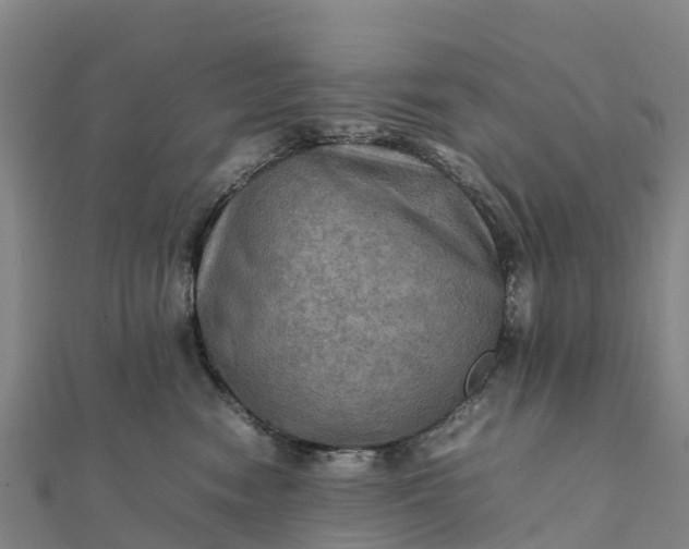 X0000112090474200908181307