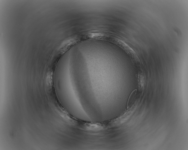 X0000112090475200908181307