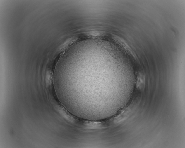 X0000112090476200908181307