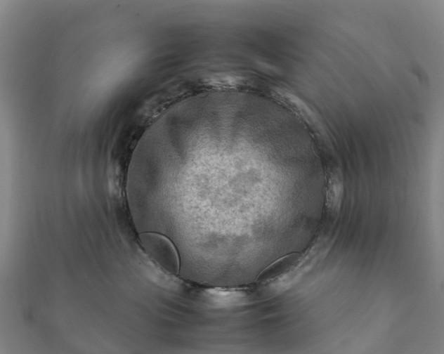 X0000112090477200908181307