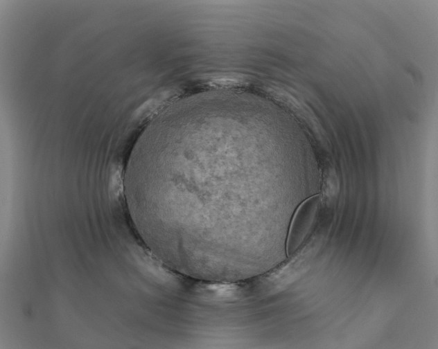 X0000112090478200908181307