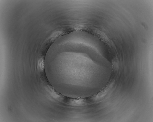 X0000112090479200908181308