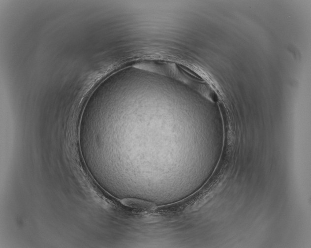 X0000112090481200908181307