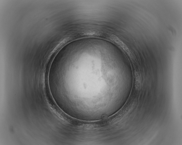 X0000112090482200908181307