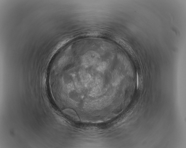 X0000112090483200908181307