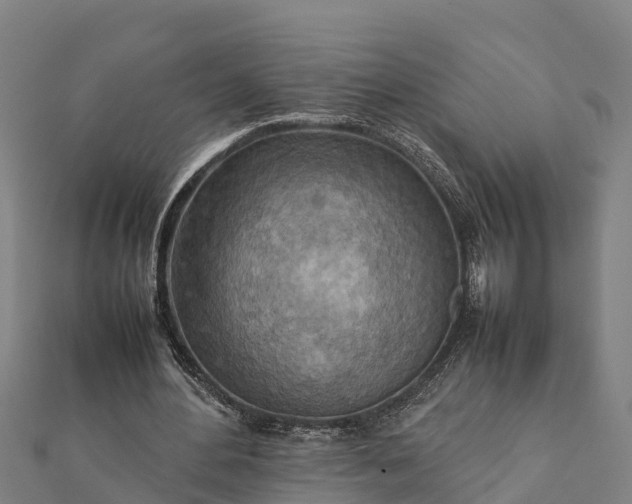 X0000112090484200908181307