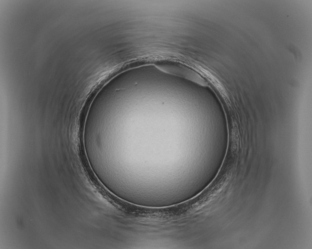 X0000112090485200908181307