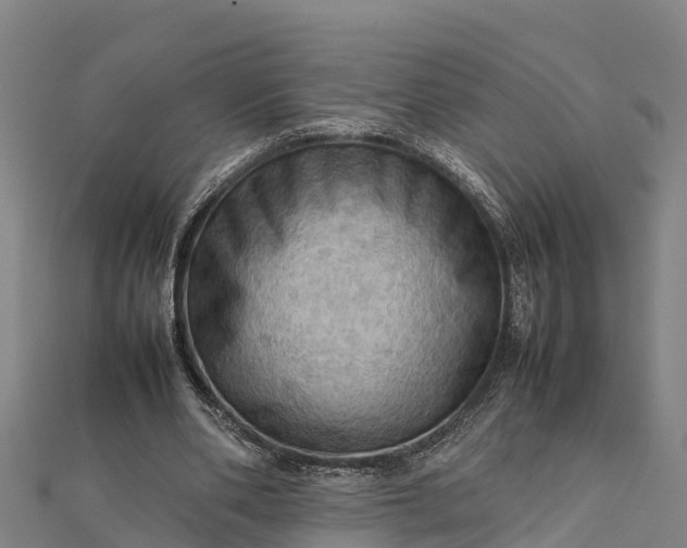 X0000112090486200908181307