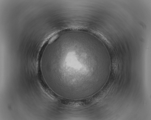 X0000112090488200908181307