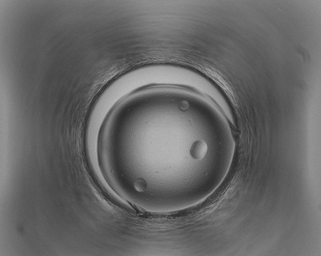 X0000112090489200908181307