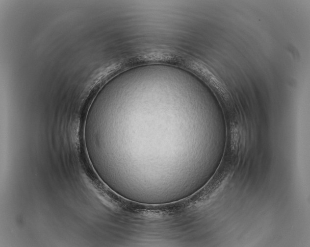 X0000112090490200908181307