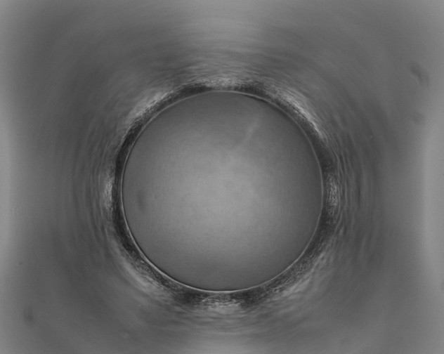 X0000112090491200908181307