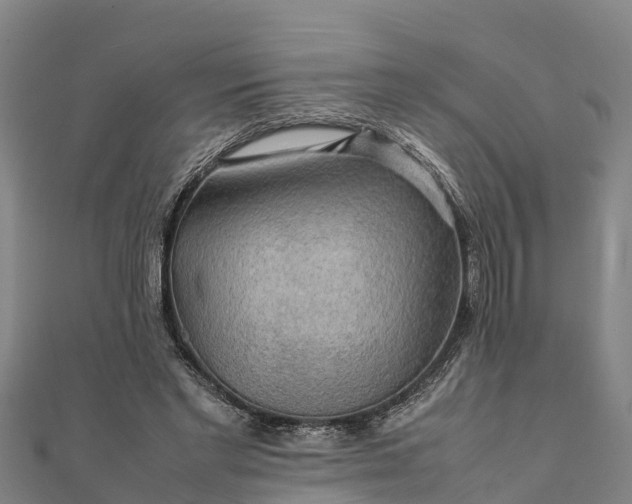 X0000112090493200908181307