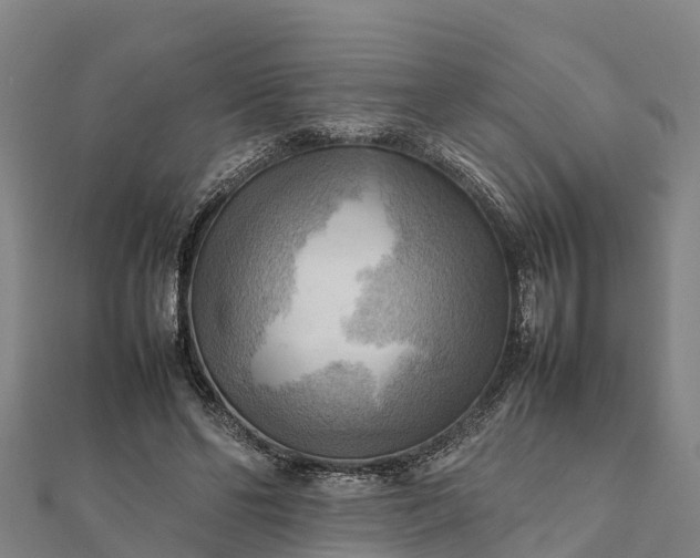 X0000112090494200908181307