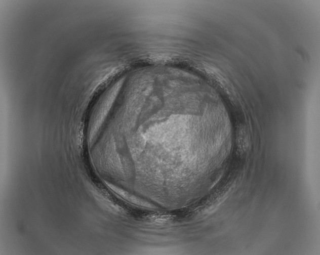 X0000112090495200908181307