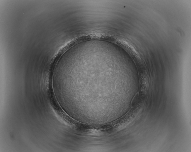 X0000112090496200908181307