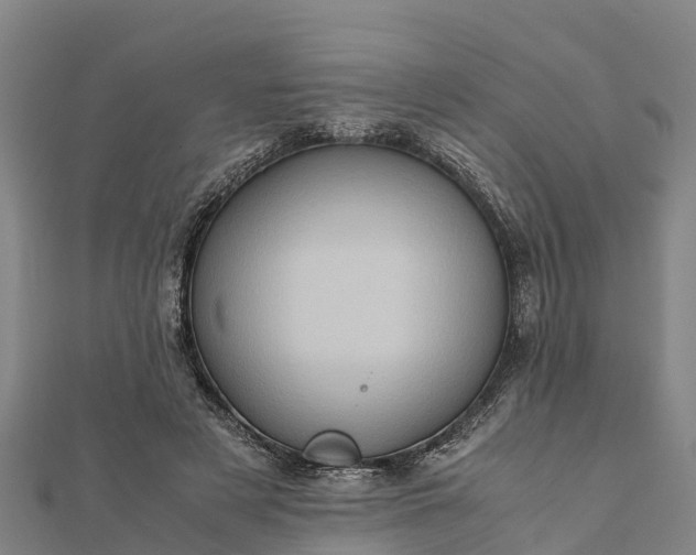 X0000112090497200908181307