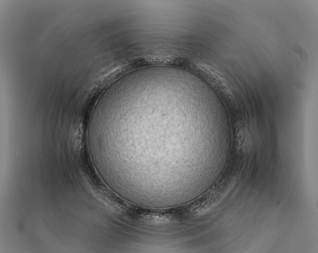 X0000112090498200908181307