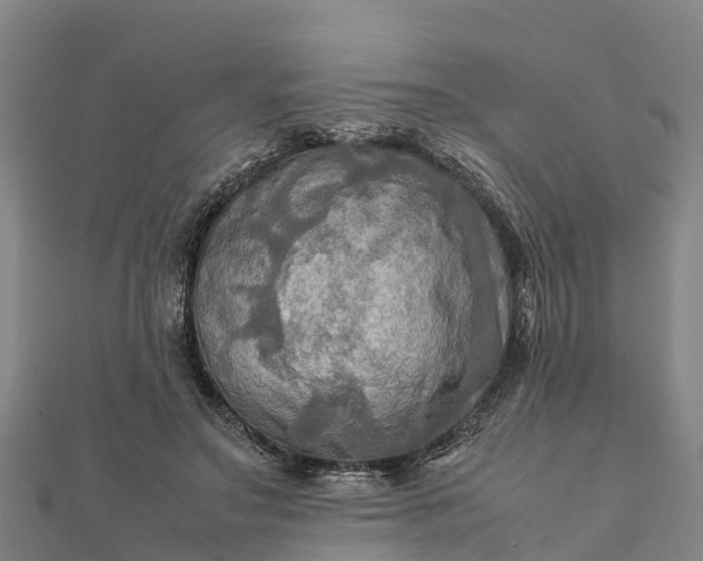 X0000112090499200908181307