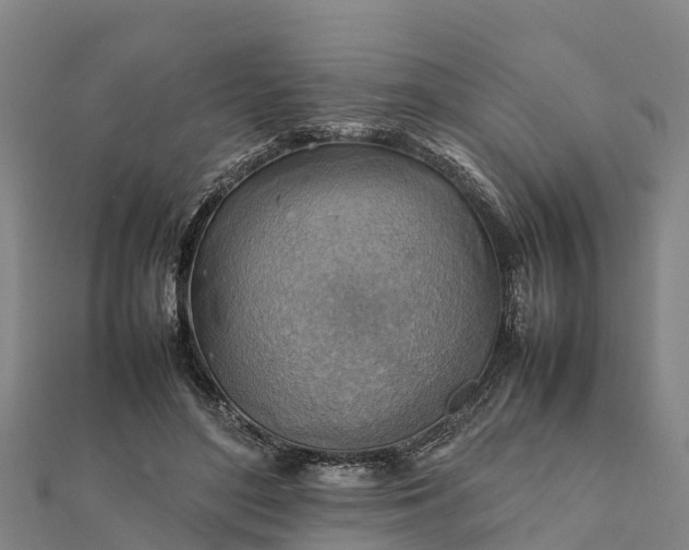 X0000112090500200908181307