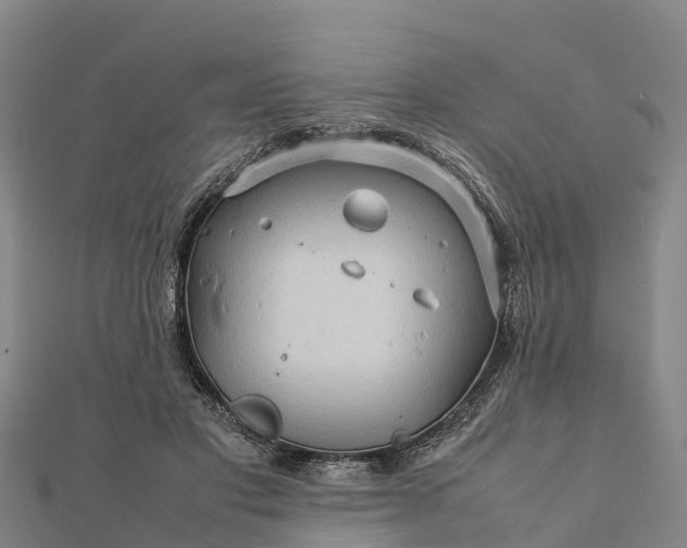 X0000112090501200908181307