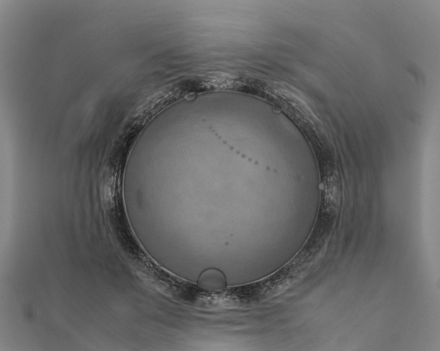 X0000112090503200908181307