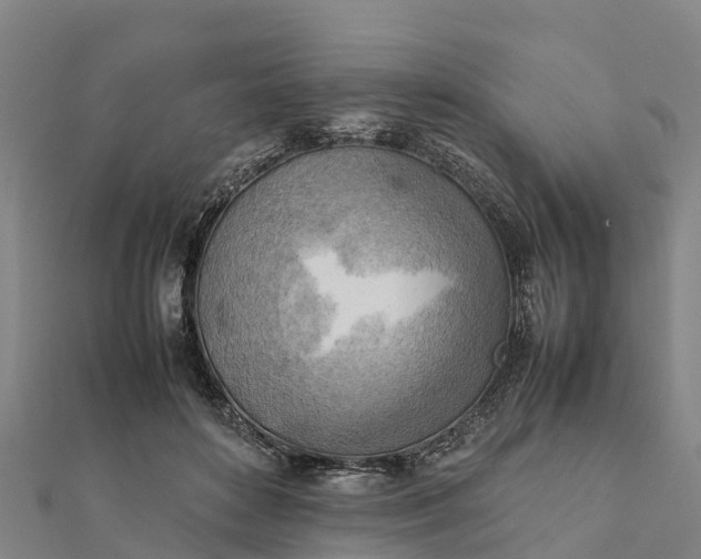 X0000112090504200908181307