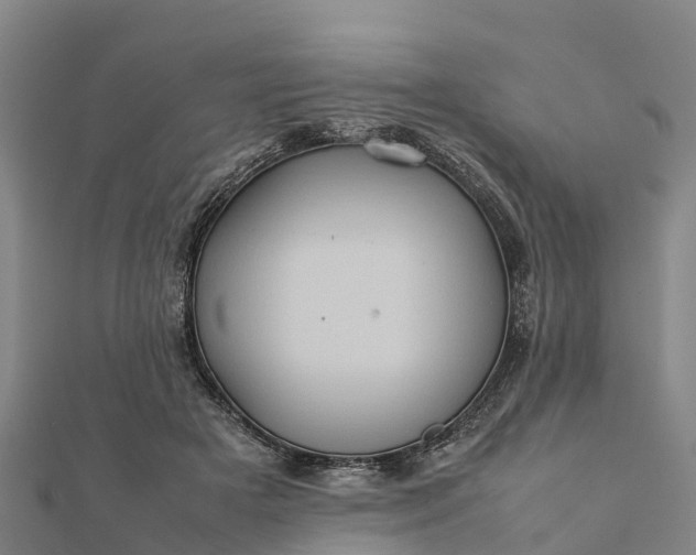 X0000112090505200908181307