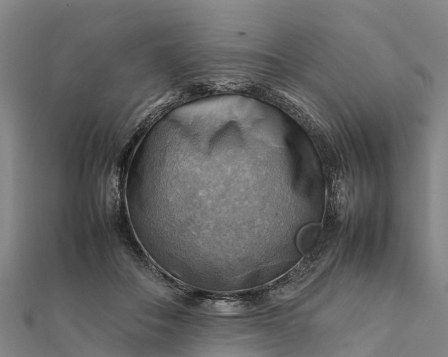 X0000112090506200908181307